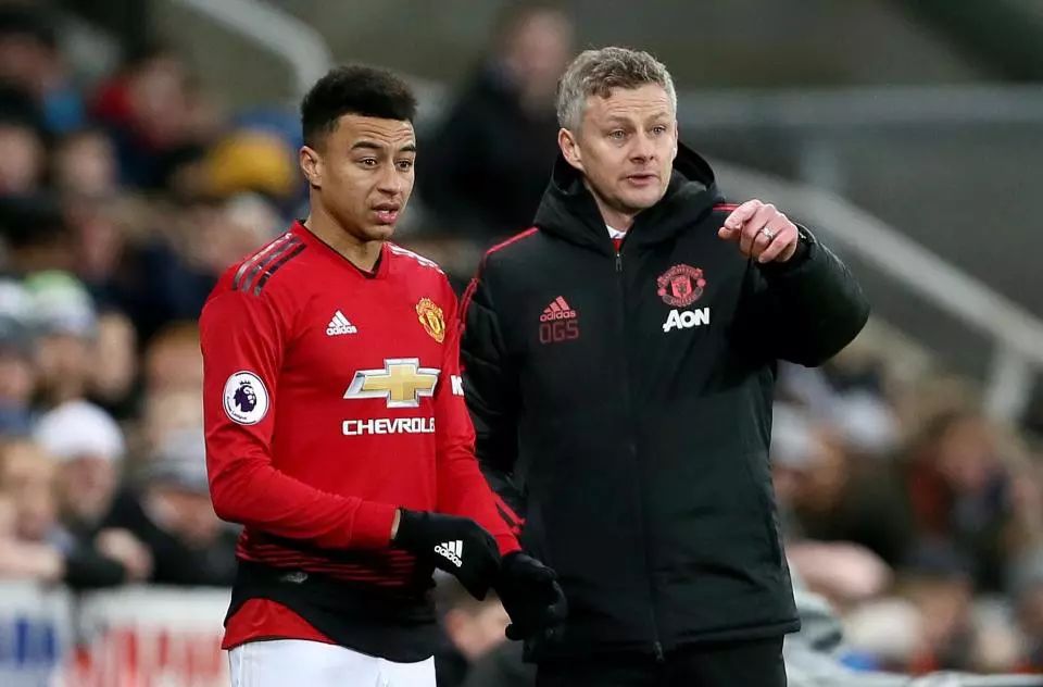 仅为年轻球 仅为年轻球